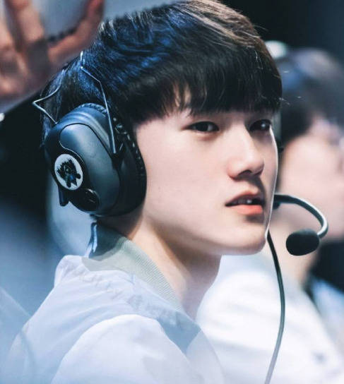 检查所提交 检查所提交