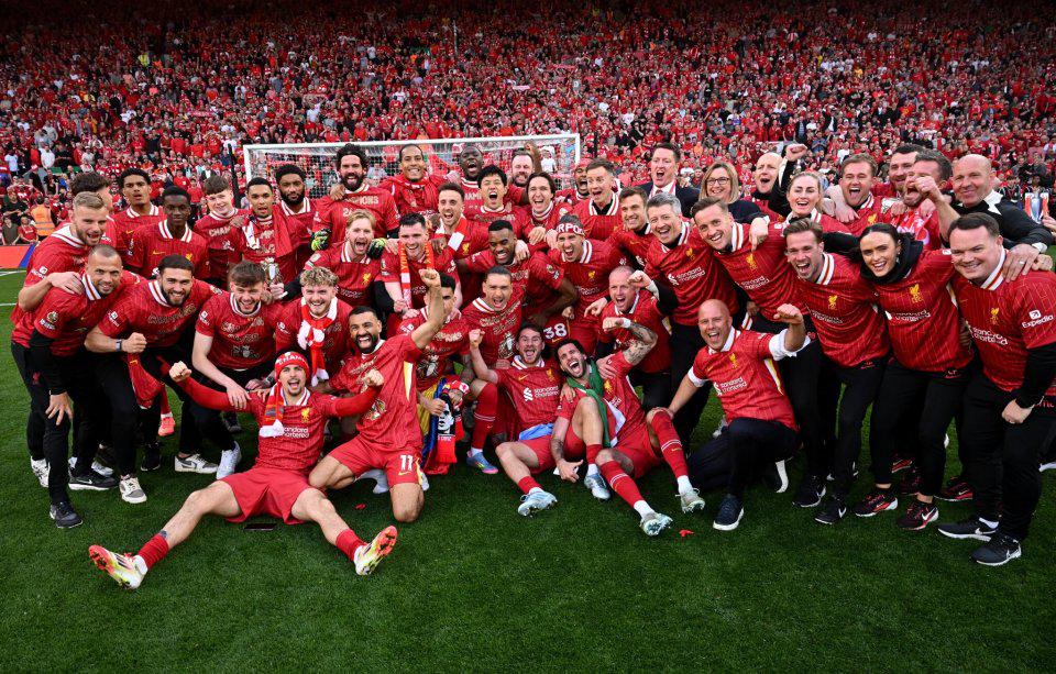 新生代内线 新生代内线