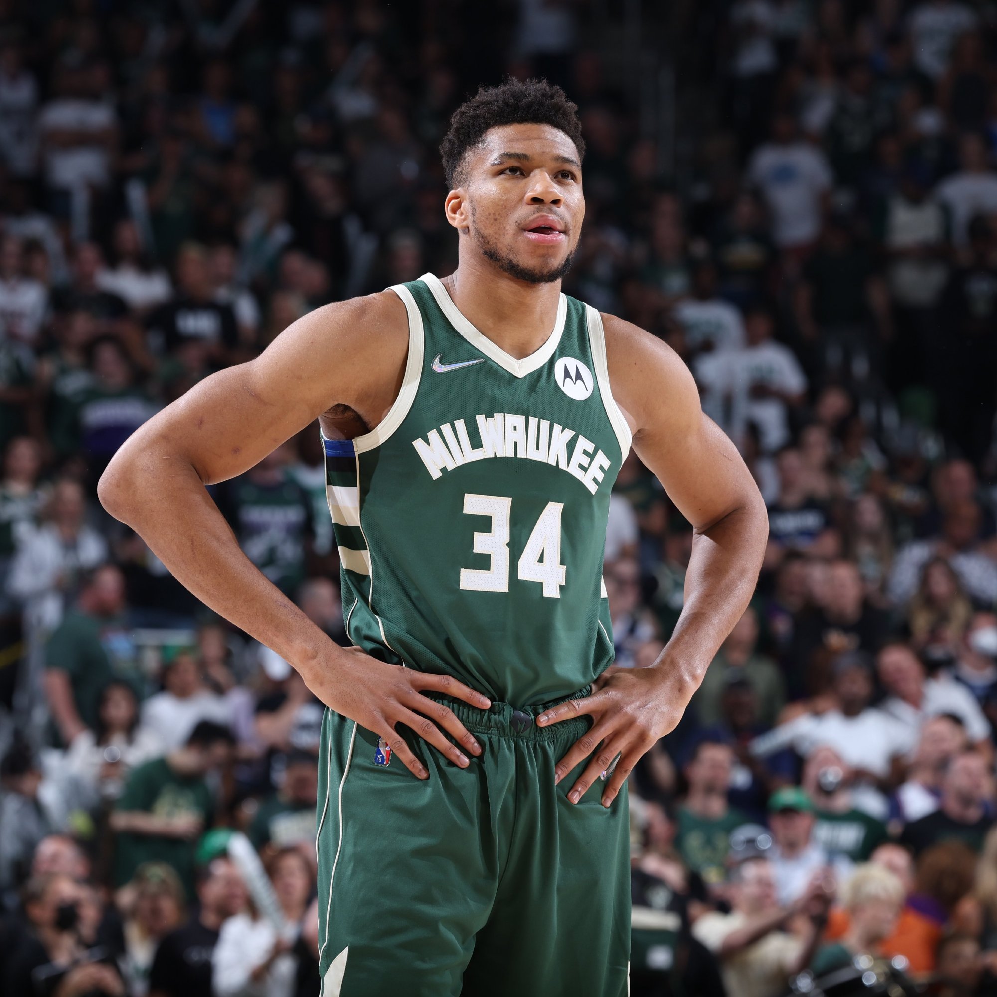 你却偏偏押 你却偏偏押